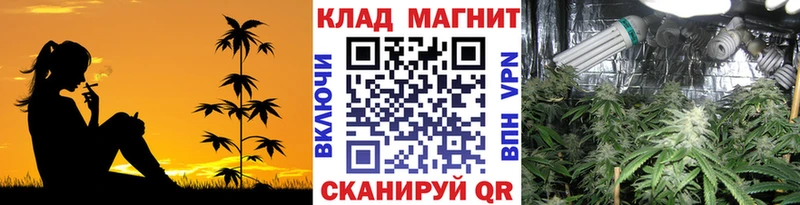 Как найти закладки Тара Гашиш  АМФ  Меф  А ПВП  Канабис  Экстази  COCAIN 