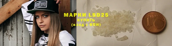 PSILOCYBIN Алексеевка
